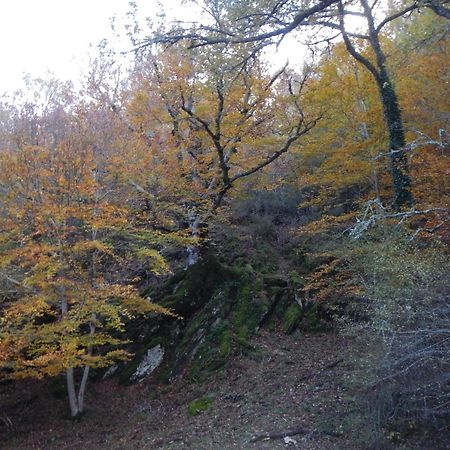 Alojamiento Rural Fuente Del Arca Pradena del Rincon 외부 사진