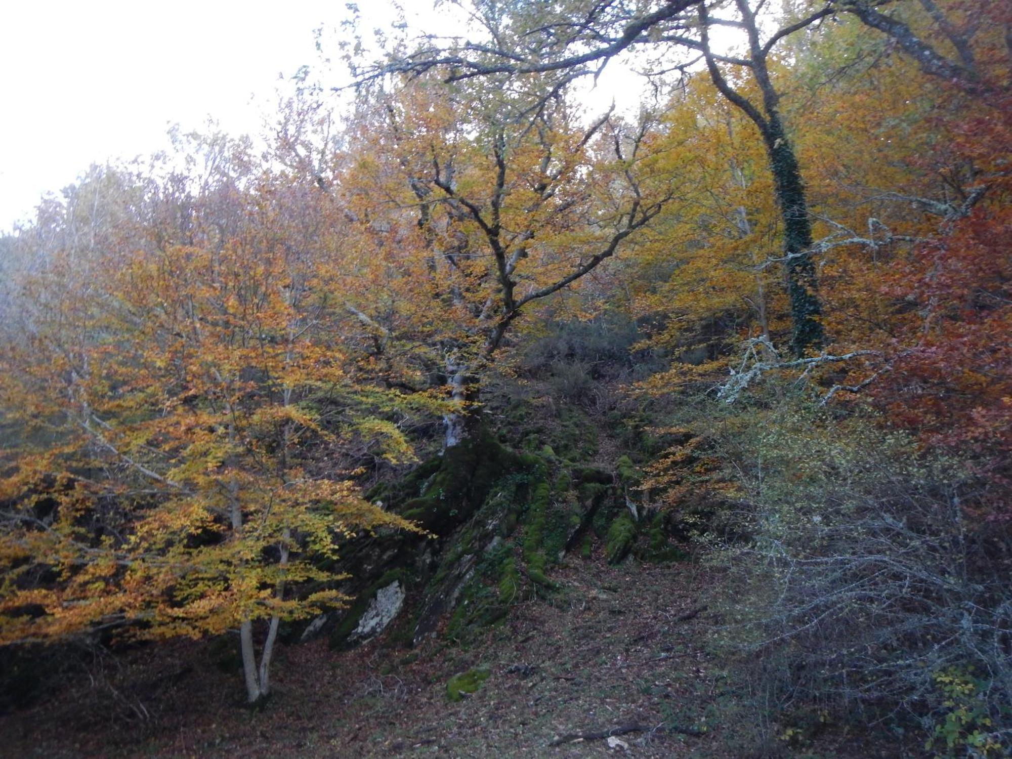 Alojamiento Rural Fuente Del Arca Pradena del Rincon 외부 사진