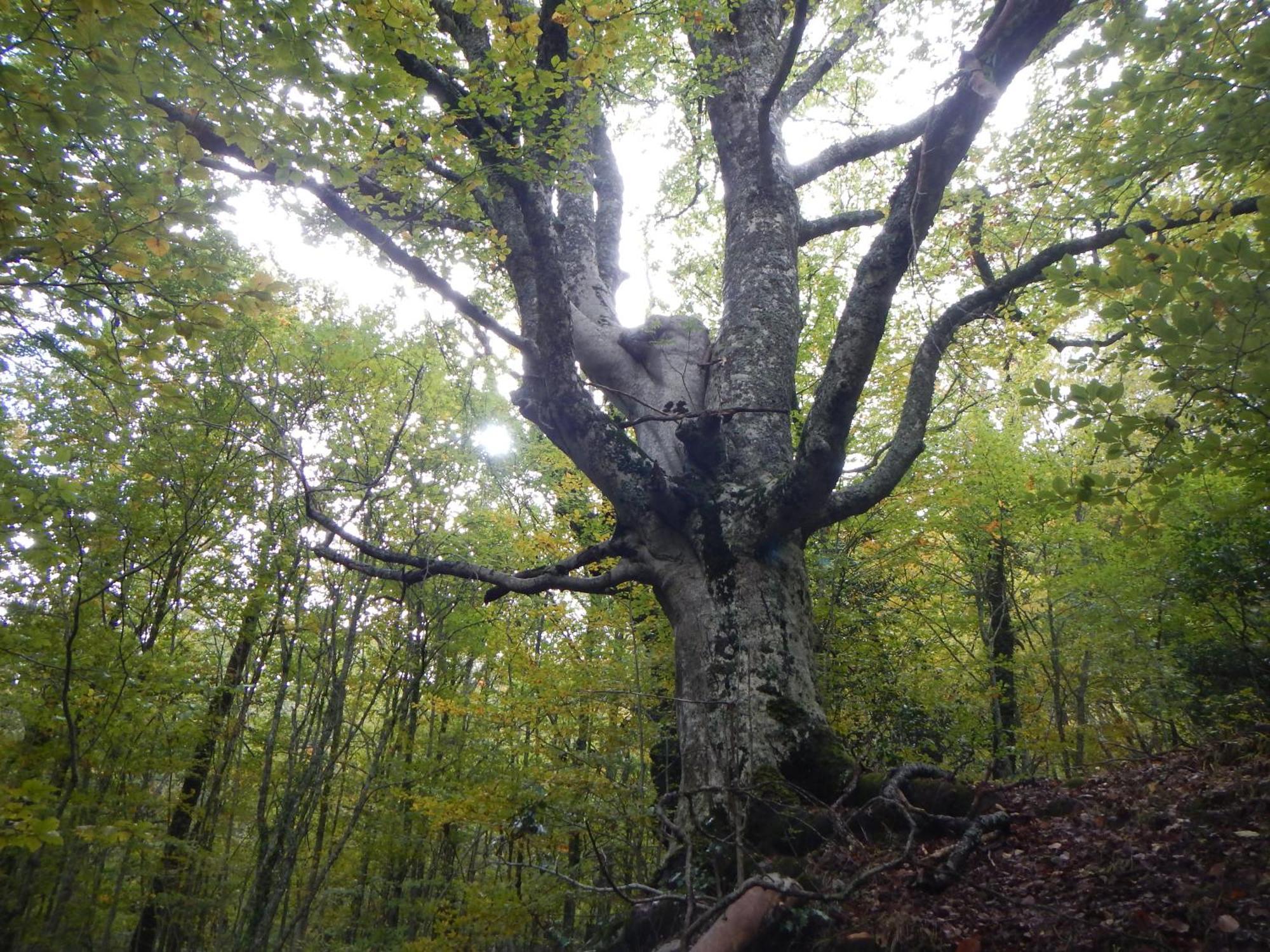 Alojamiento Rural Fuente Del Arca Pradena del Rincon 외부 사진