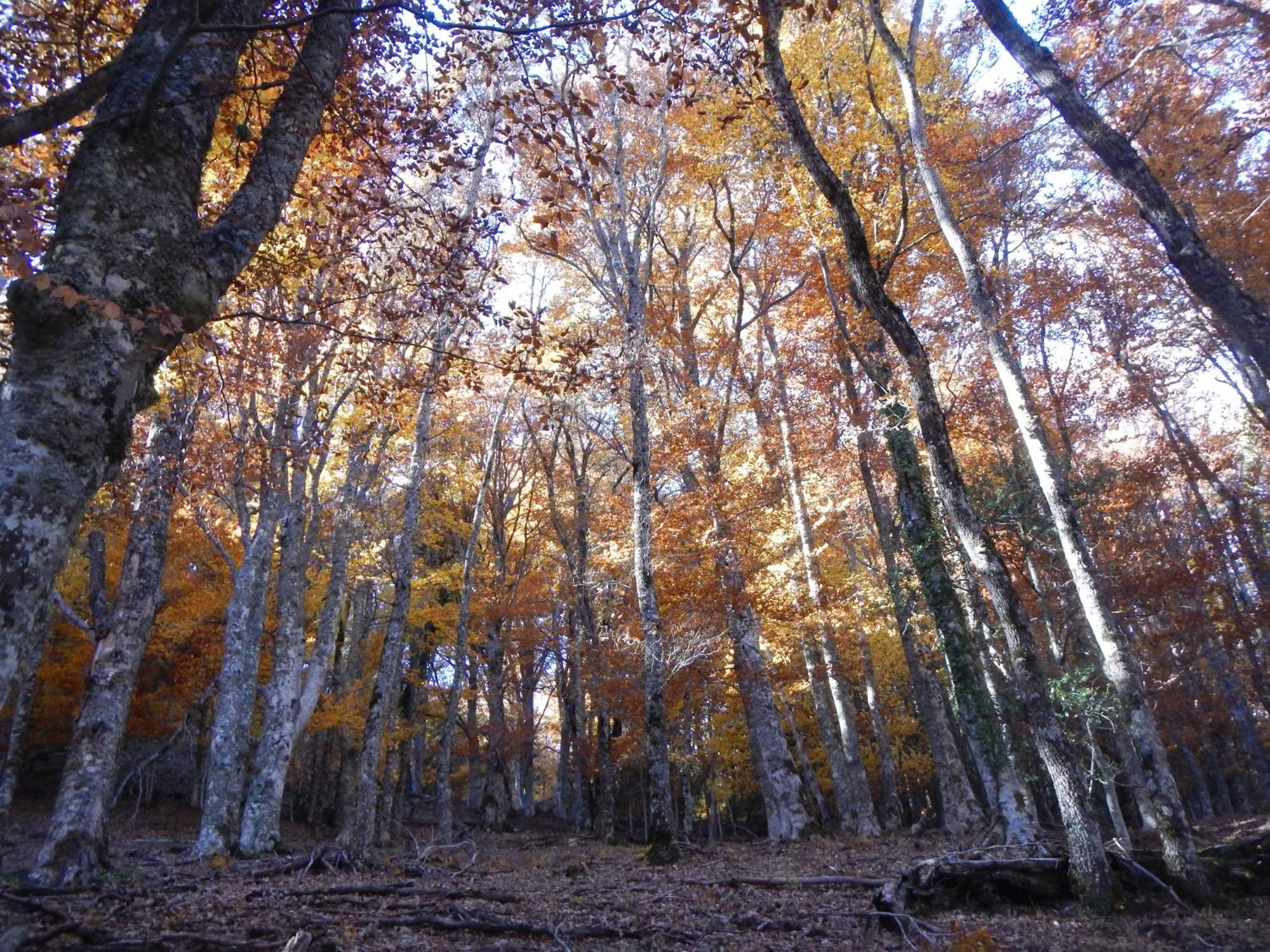 Alojamiento Rural Fuente Del Arca Pradena del Rincon 외부 사진