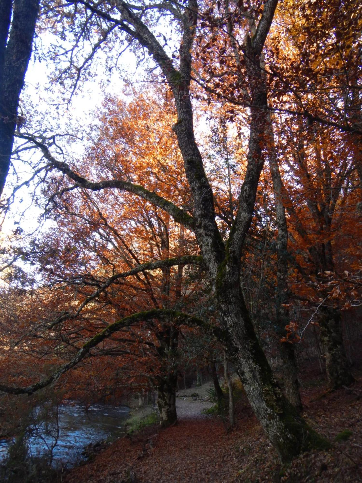 Alojamiento Rural Fuente Del Arca Pradena del Rincon 외부 사진